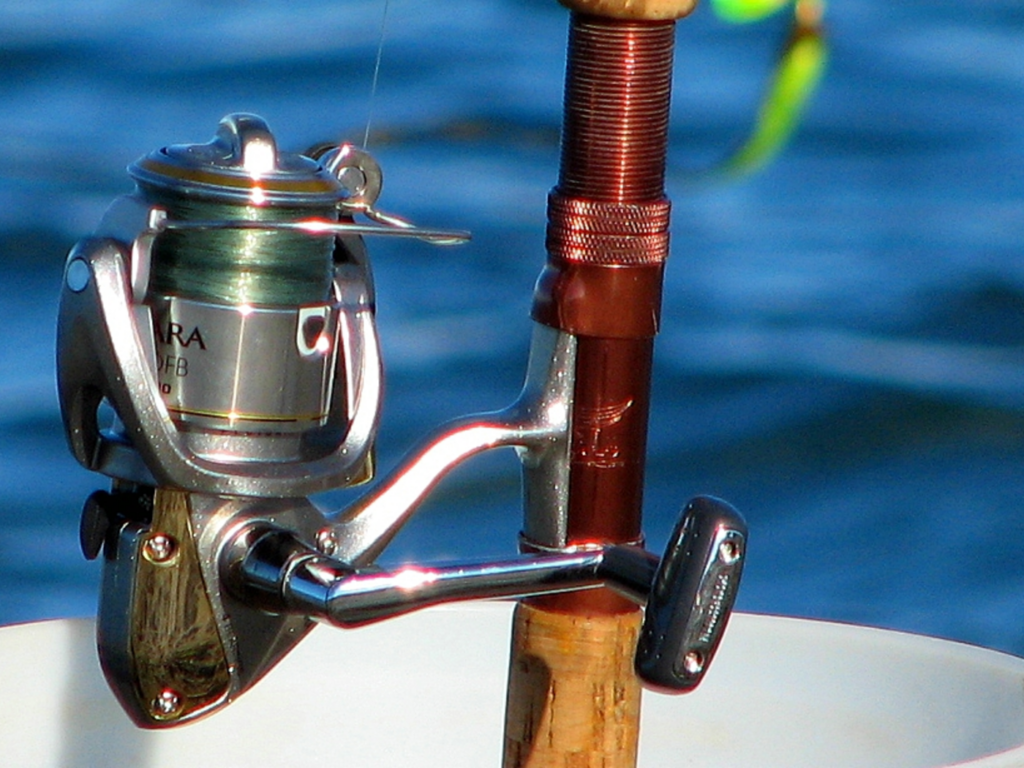Reels
